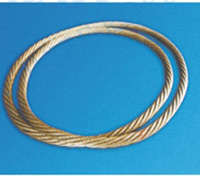 鋼絲繩無極環(huán)形索具